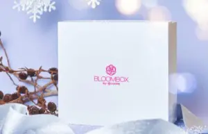 Winter Box 2022